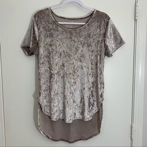 MAURICES champagne velvet top LARGE